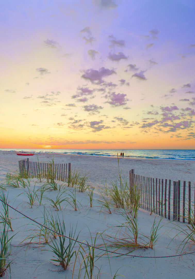 Web image Research Symposium (2) Web image Research Symposium (2)